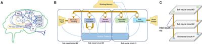 Toward Robust Cognitive 3D Brain-Inspired Cross-Paradigm System